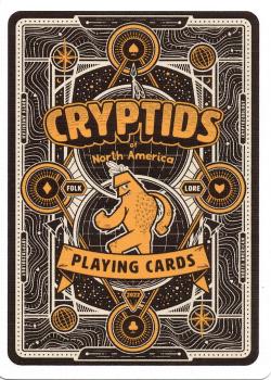 Extra Two additional Image